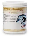 Produktbild: EquiPower Magnesium | 2 kg | Ergänzungsfuttermittel für Pferde | Mit Tryptophan & Vitamin B12