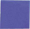 Produktbild: JBL Filterschaum blau fein - 50 x 50 x 10 cm
