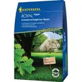 Produktbild: Kiepenkerl Schattenverträglicher Rasen Profi-Line Royal 4 kg