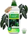 Produktbild: Purgrün Alocasia-Dünger | Flüssigdünger für Alocasien | 1L