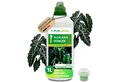 Produktbild: Purgrün Universaldünger Alocasia Dünger, NPK 10+4+6, stärkt Blattwachstum, 1 Liter, Flüssigdünger, 1-St., 1 Liter, Rundumversorgung mit Guano und essenziellen Spurennährstoffen