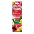 Produktbild: Substral Dünger-Stäbchen für Blühpflanzen - 30 Stück - Eisenmangel Düngersticks