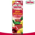 Produktbild: Substral 30 Stück Blühpflanzen-Düngerstäbchen