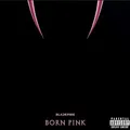 Produktbild: Born Pink (Jewel Case)