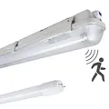 Produktbild: proventa® Feuchtraumleuchte mit HF-Bewegungsmelder und LED-Röhre 150 cm 1x 20,5W 3.100lm 4.000K IP65 Kunststoff grau