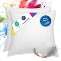 Produktbild: wometo 2er Set Federkissen 100% Federn 40x40-300g Oeko-TEX Sofakissen Füllkissen Bezug Baumwolle weiß/Innenkissen/Kissenfüllung/kleine Kopfkissen (2 Stück)