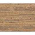 Produktbild: Egger Design-Wandpaneele DecoWall Namur Fichte Natur 125 cm x 66 cm