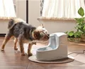 Produktbild: PetSafe Haustierbrunnen Drinkwell® - Mini Trinkbrunnen Hund Katze