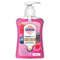 Produktbild: SAGROTAN HYGIENE Flüssigseife 250 ml