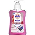 Produktbild: Sagrotan Hydra Care (Flüssigseife, 250 ml) (3226561)
