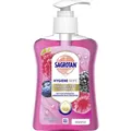Produktbild: SAGROTAN HYGIENE Wildbeerenduft Flüssigseife 2 x 250 ml MHD 04/2026