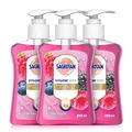 Produktbild: Sagrotan Handseife Brombeere Waldfrüchte 3×250ml Flüssigseife Hygiene