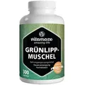 Produktbild: Grünlippmuschel 500 mg hochdosiert