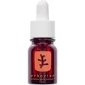 Produktbild: Erborian Skin Therapy Multi-Perfecting Night Oil 10 ml