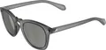 Produktbild: Sonnenbrille Alpina Sunbeam grau transp. glänzend, Glas grün, Kat.3