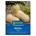 Produktbild: Saatgut, Moschus-Kürbis, Butternut-Kürbis, Kürbis 'Tiana'