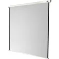 Produktbild: celexon Rolloleinwand Economy 1:1, 120 x 120 cm Projektionsfläche