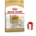 Produktbild: ROYAL CANIN Labrador +5 12kg + Überraschung für den Hund