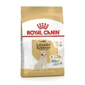 Produktbild: ROYAL CANIN Labrador Retriever Adult 5+ - 12 kg