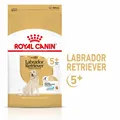 Produktbild: ROYAL CANIN Labrador Retriever Adult 5+ Trockenfutter für Hunde ab 5 Jahren 12k