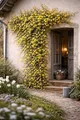Produktbild: Winterjasmin 60–70 cm (Jasminum nudiflorum) – winterharte Gartenpflanze, gelbe Blüten, Rankpflanze für Balkon & Terrasse
