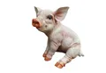 Produktbild: Aspinaworld Gartenfigur Sitzende Schweine Figur 23 cm, Figur für den Garten