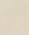 Produktbild: Rasch Tapeten Vliestapete (universell) Beige goldene 10,05 m x 0,53 m Concrete 520248