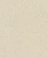 Produktbild: rasch Tapete 520248 Concrete Vliestapete Wischoptik Beige (4,19€/1qm)
