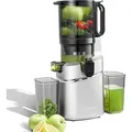 Produktbild: AMZCHEF Automatischer Entsafter All-In-One Slow Juicer 1,8L 250W 145MM Öffnung