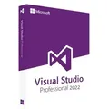 Produktbild: Microsoft Visual Studio 2022, pro