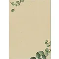 Produktbild: Sigel Eucalyptus Briefpapier Braun 100 Blatt