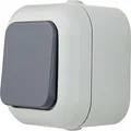 Produktbild: REV 005507 Atlantik, Kreuzschalter - Schalter Feuchtraum IP44, einpolig, Aufputz, grau