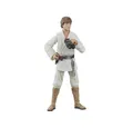 Produktbild: Hasbro Actionfigur Star Wars Episode IV Black Series Actionfigur Luke Skywalker 15 cm