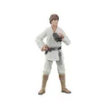 Produktbild: Star Wars Episode IV Black Series Actionfigur Luke Skywalker 15 cm