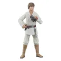 Produktbild: Star Wars Episode IV Black Series Actionfigur Luke Skywalker 15 cm Hasbro