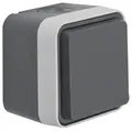 Produktbild: Berker W.1 IP55 Aufputz Steckdose grau 47403515