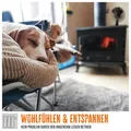 Produktbild: Ofenventilator OV 4F