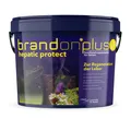 Produktbild: BrandonPlus Hepatic protect -