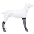 Produktbild: Hunde Schutzsocke Silikon 8cm/35cm TRIXIE Vorder- & Hinterpfoten 19432