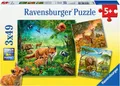 Produktbild: Puzzle - Tiere der Erde - 3 x 49 Teile