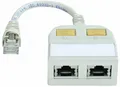 Produktbild: Telegärtner RJ45 Netzwerk, ISDN Y-Adapter [1x RJ45-Stecker - 2x RJ45-Buchse] 15.00cm Lichtgrau (RAL 7035)