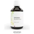 Produktbild: ZINZINO BalanceOil+ Vegan (300 ml)