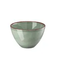 Produktbild: Rosenthal Profi Casual Moos Bowl 13 cm Profi Casual Moss 10660-405405-10562