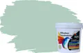 Produktbild: RyFo Colors Silikonharz Fassadenfarbe Lotuseffekt Trend Eukalyptus 1l - bunte Fassadenfarbe, weitere Grün Farbtöne und Größen erhältlich, Deckkraft Klasse 1