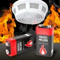 Produktbild: Ansmann Batterien, für Rauchmelder, E-Block, 9 V, 2 Stück 300774