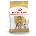 Produktbild: ROYAL CANIN Poodle Adult 1,5kg+Überraschung für den Hund