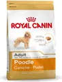 Produktbild: Royal Canin Pudel Adult - 1,5 kg