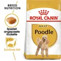 Produktbild: ROYAL CANIN Poodle Adult Hundefutter trocken für Pudel 1,5 kg