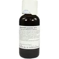 Produktbild: MERCURIALIS PERENNIS 20% Tinktur 100 ml