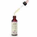 Produktbild: BACHBLÜTEN Heather Tropfen 20 ml PZN00059890
